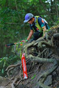 BIB: 
                            <button type="button" onclick="openModal(19490622)" class="btn btn-primary btn-sm float-right btn-popup" data-toggle="modal" data-target=".modal-high-quality">
                        <i class="fas fa-shopping-cart"></i> Add to Cart
                    </button>
                                            <button type="button" onclick="isThisMe(19490622, true)" class="btn btn-success btn-sm float-right btn-popup btn-isme hidden" data-toggle="tooltip" data-placement="bottom" title="นี่คือรูปของคุณใช่ไหม คลิกที่นี่เพื่อเอาเข้าอัลบั้ม">
                        <i class="fas fa-plus"></i> Add to album
                    </button>
                    <button type="button" onclick="isThisMe(19490622, false)" class="btn btn-warning btn-sm float-right btn-popup btn-isnotme hidden">
                        <i class="fas fa-ban"></i> Remove from album
                    </button>